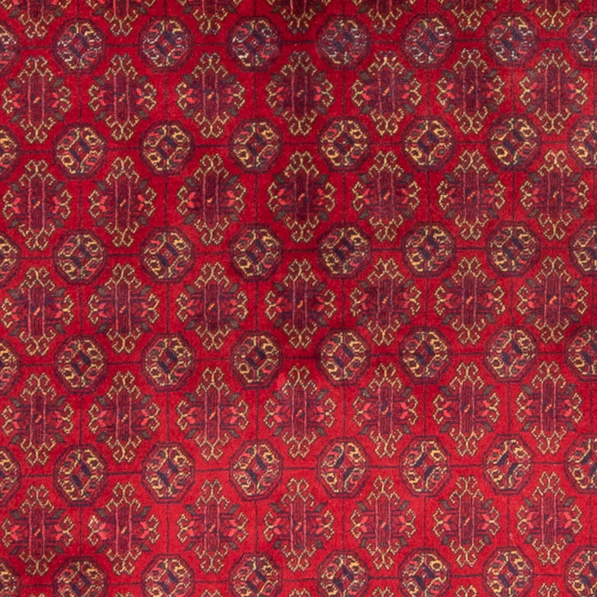 Tappeto afgano - 193 x 148 cm - rosso