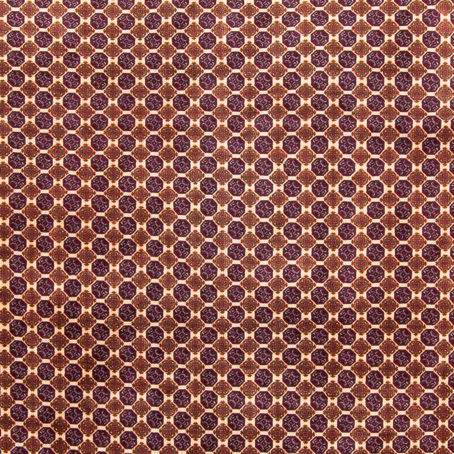 Tappeto afgano - 297 x 198 cm - beige