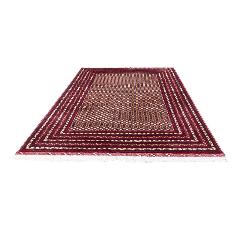 Tappeto afgano - 297 x 198 cm - beige