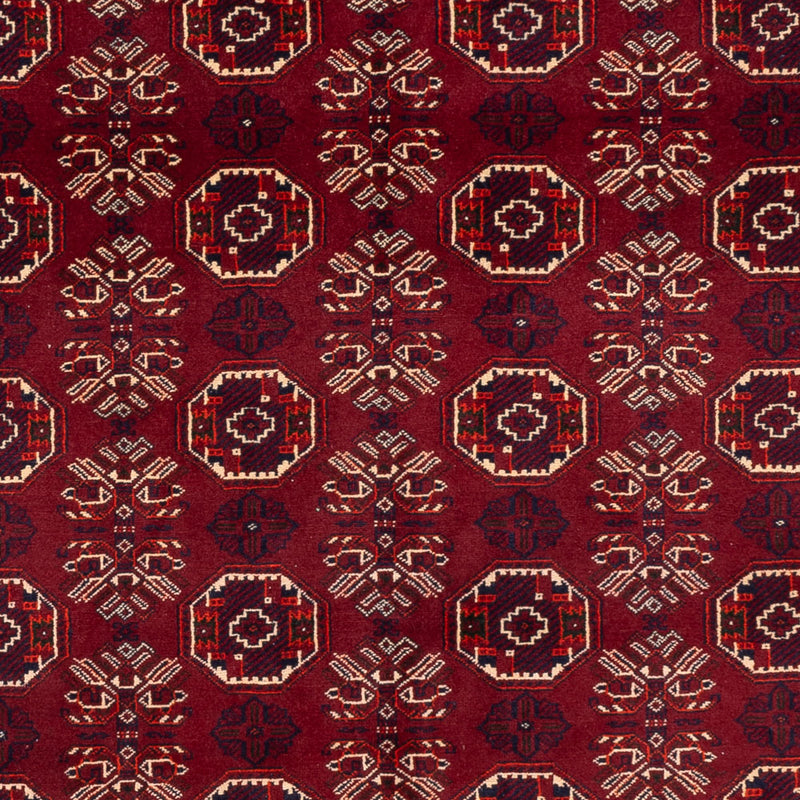 Tappeto afgano - Bukhara - 280 x 188 cm - rosso scuro