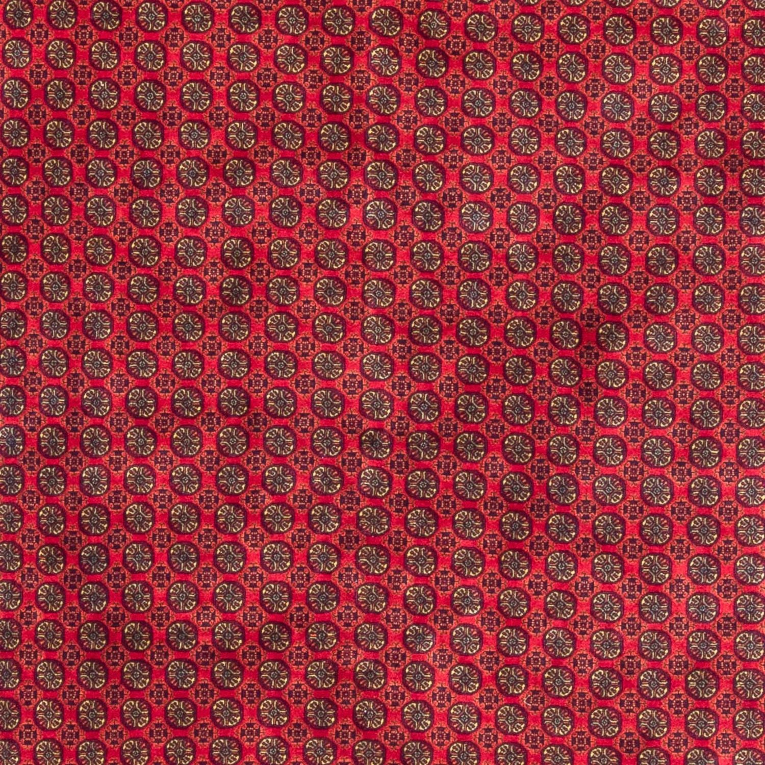 Tappeto afgano - 294 x 194 cm - rosso
