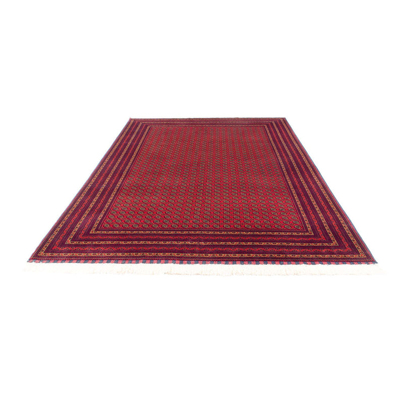 Tappeto afgano - 294 x 194 cm - rosso