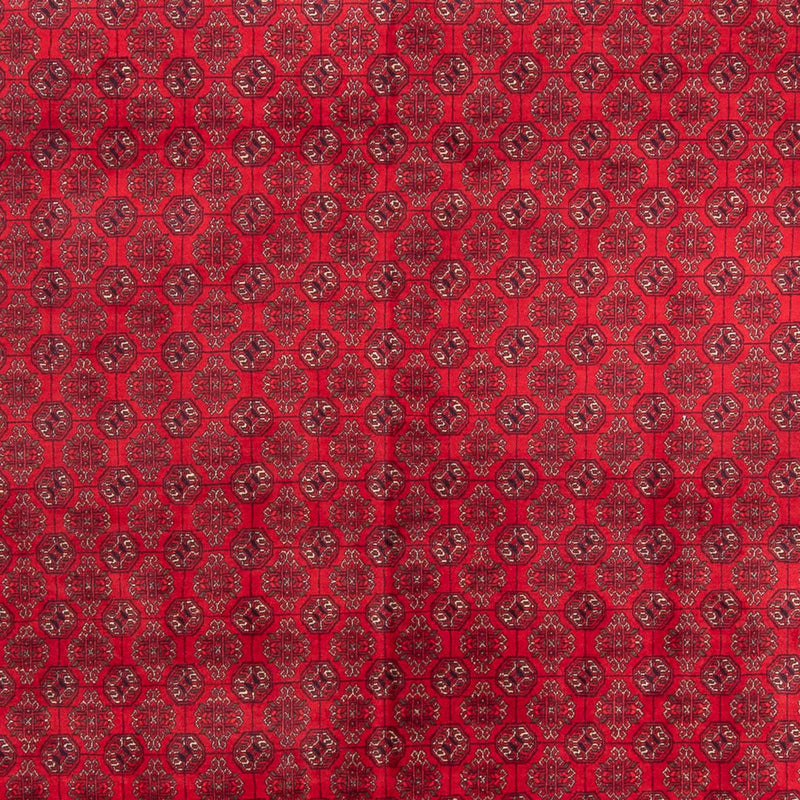 Tappeto afgano - 343 x 248 cm - rosso
