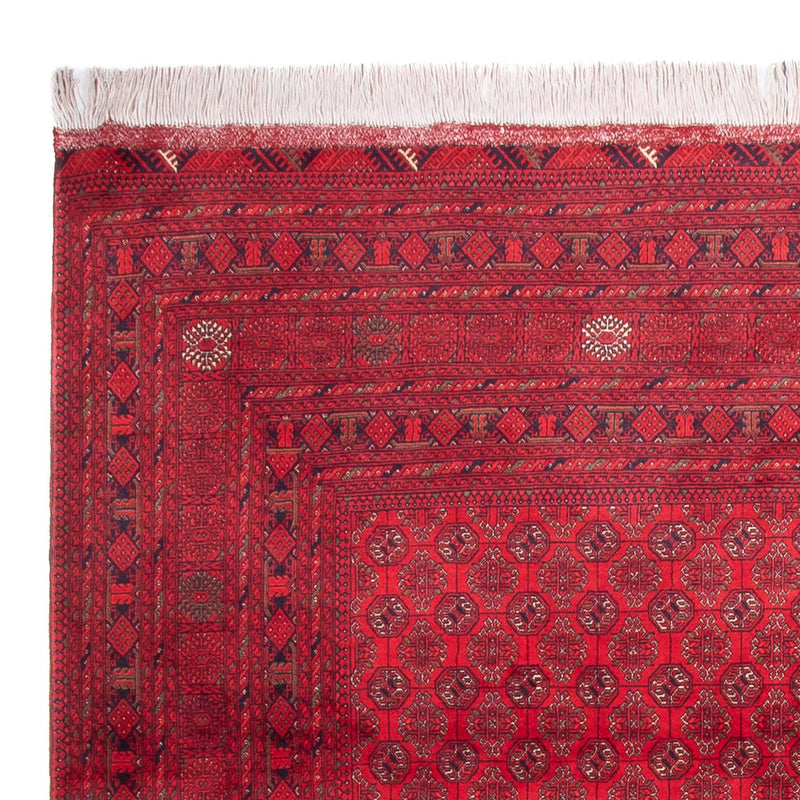 Tappeto afgano - 343 x 248 cm - rosso