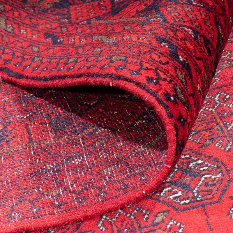 Tappeto afgano - 343 x 248 cm - rosso