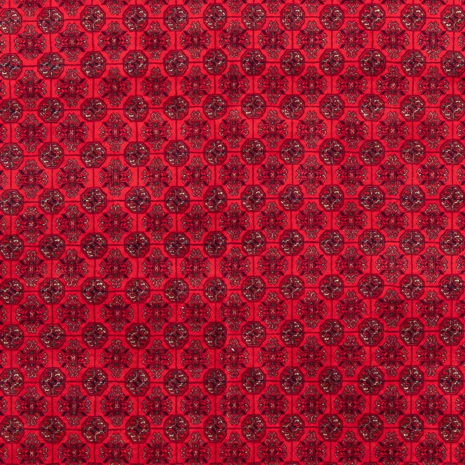 Tappeto afgano - 295 x 194 cm - rosso
