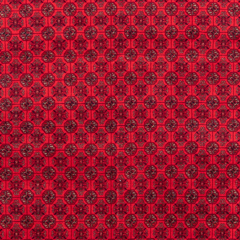Tappeto afgano - 295 x 194 cm - rosso