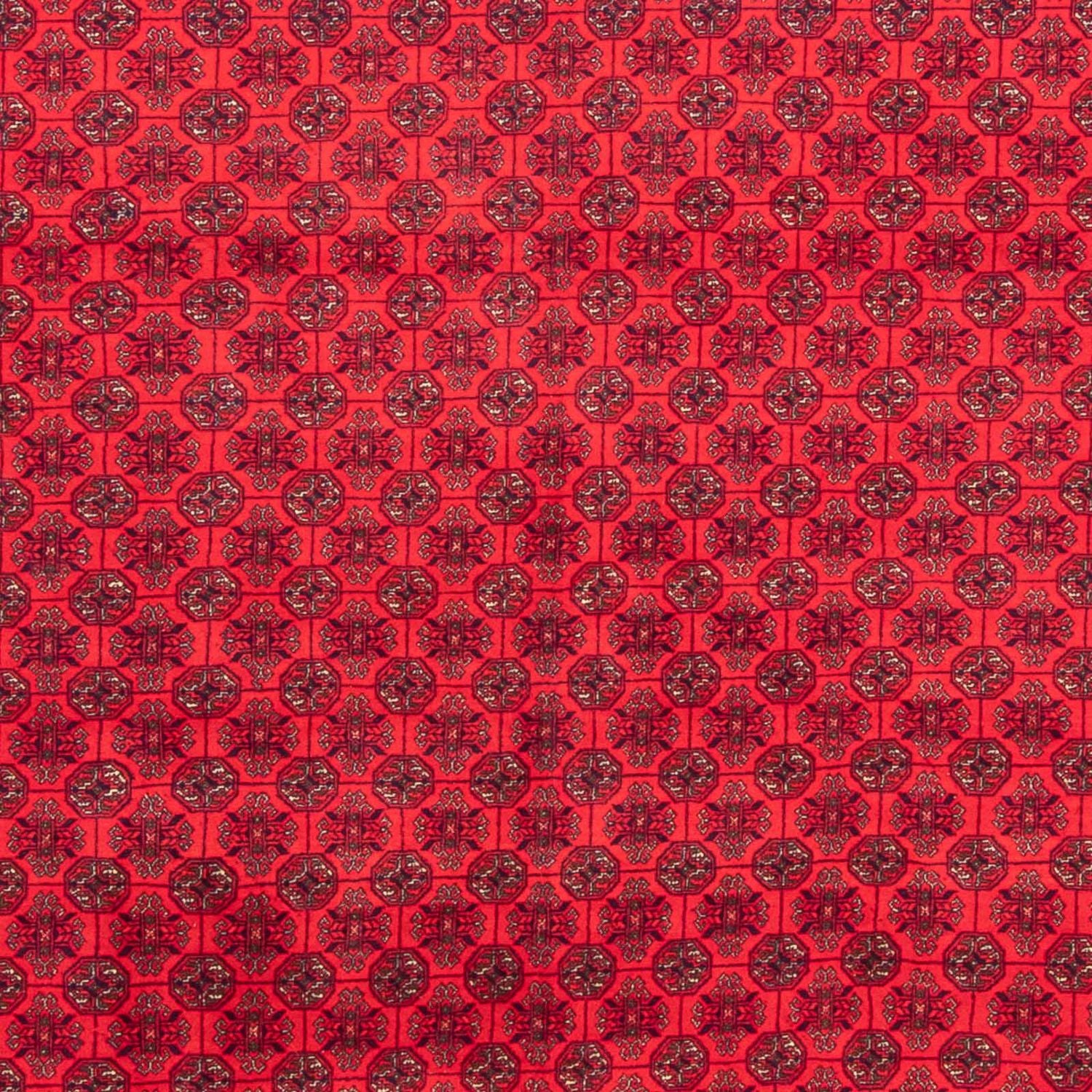 Tappeto afgano - 289 x 200 cm - rosso