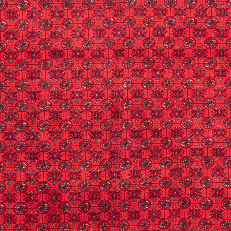 Tappeto afgano - 289 x 200 cm - rosso