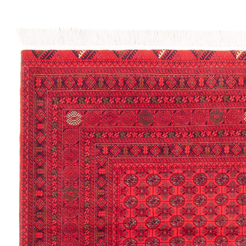 Tappeto afgano - 289 x 200 cm - rosso