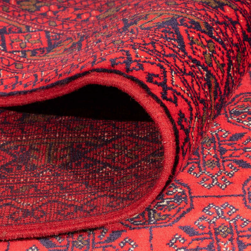 Tappeto afgano - 289 x 200 cm - rosso
