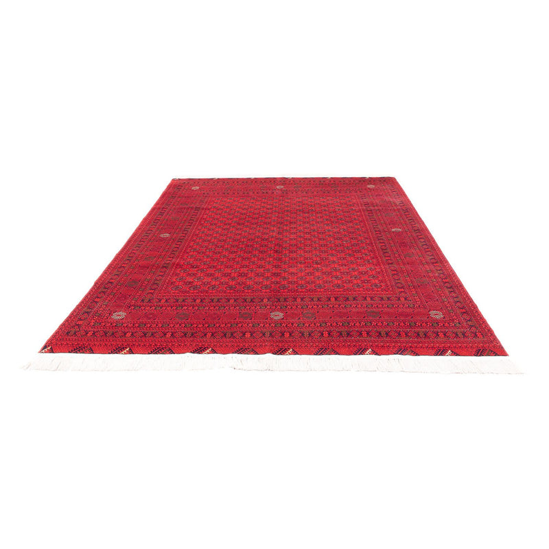 Tappeto afgano - 289 x 200 cm - rosso