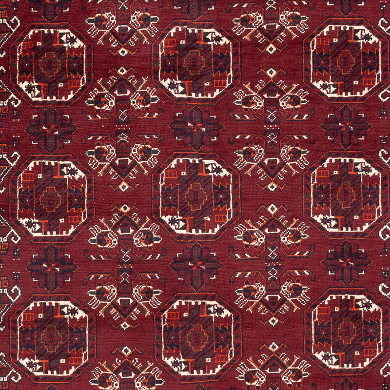 Tappeto afgano - Bukhara - 290 x 201 cm - rosso scuro