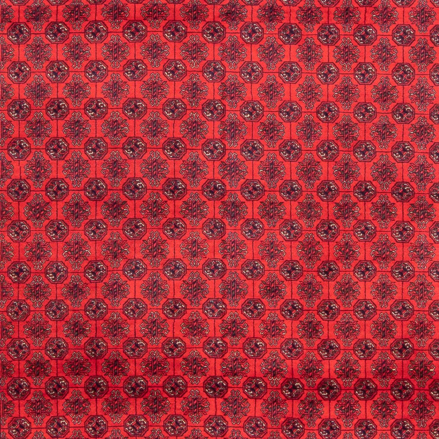 Tappeto afgano - 387 x 298 cm - rosso