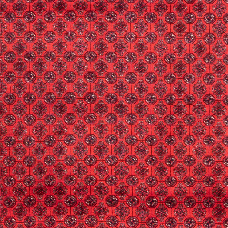 Tappeto afgano - 387 x 298 cm - rosso