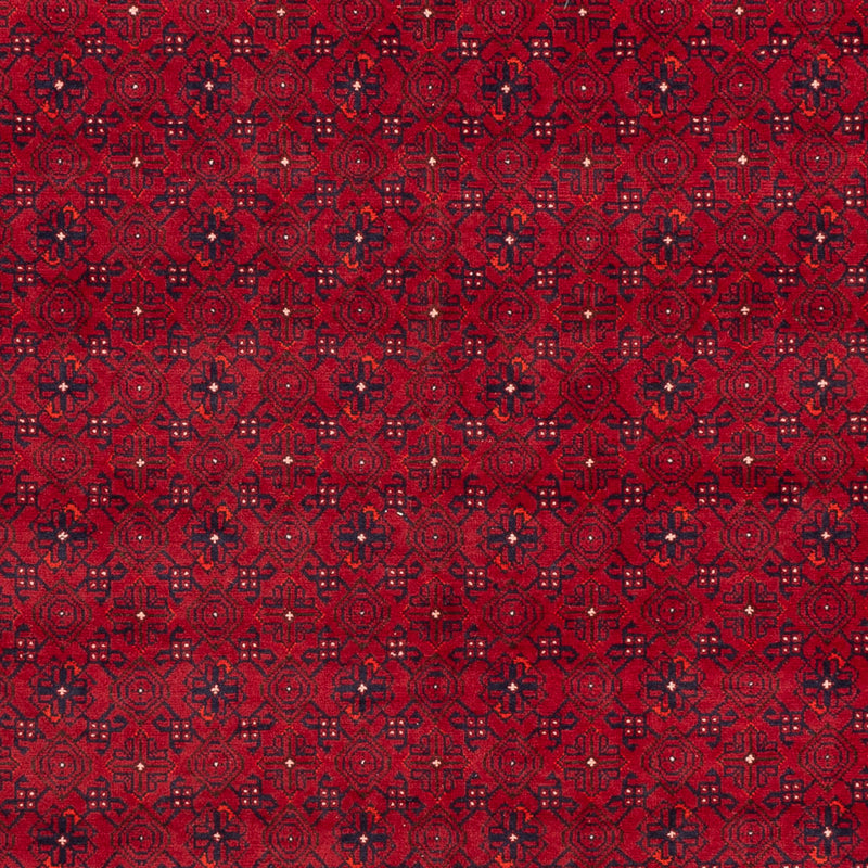 Tappeto afgano - 296 x 193 cm - rosso