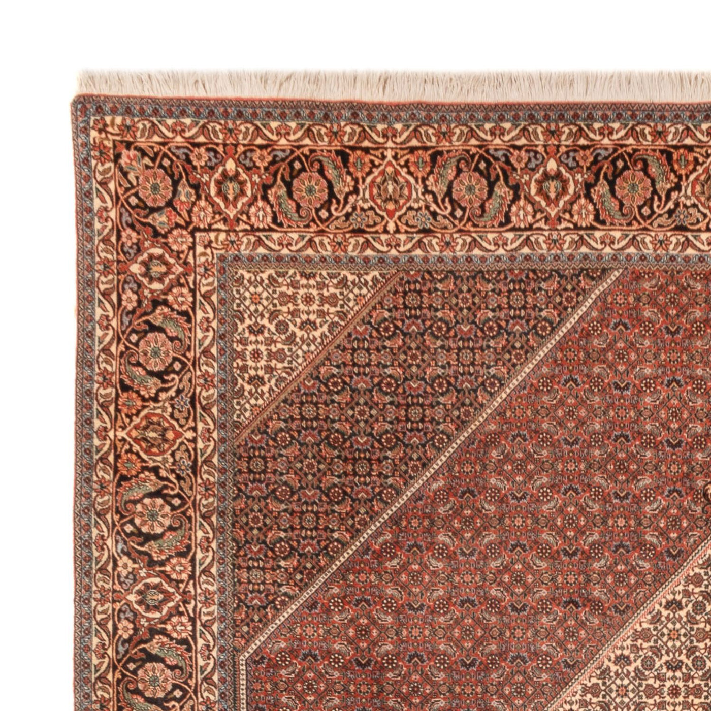 Bidjar - Bukan Tappeto 300x255cm - Tappeto persiano