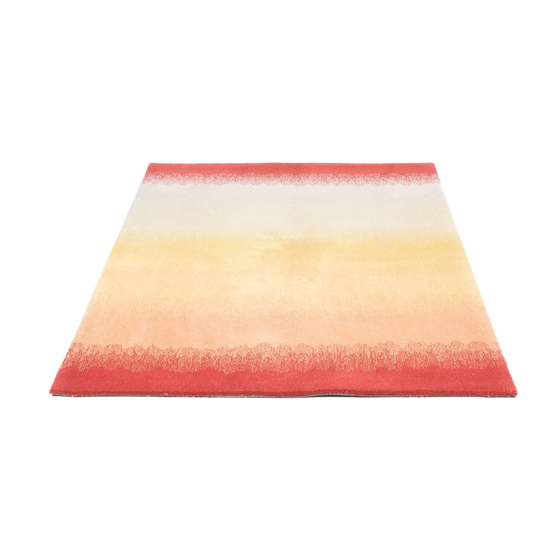 Tappeto di lana - 170 x 115 cm - multicolore