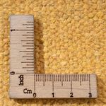 Tappeto Kelim - Tendenza - 200 x 140 cm - multicolore