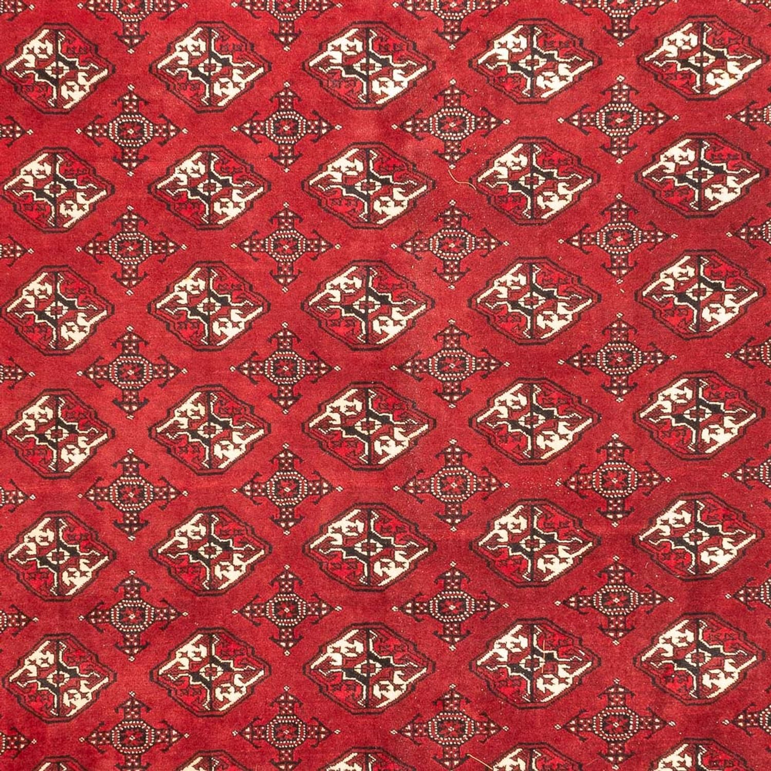 Tappeto Turkaman - 391 x 270 cm - rosso