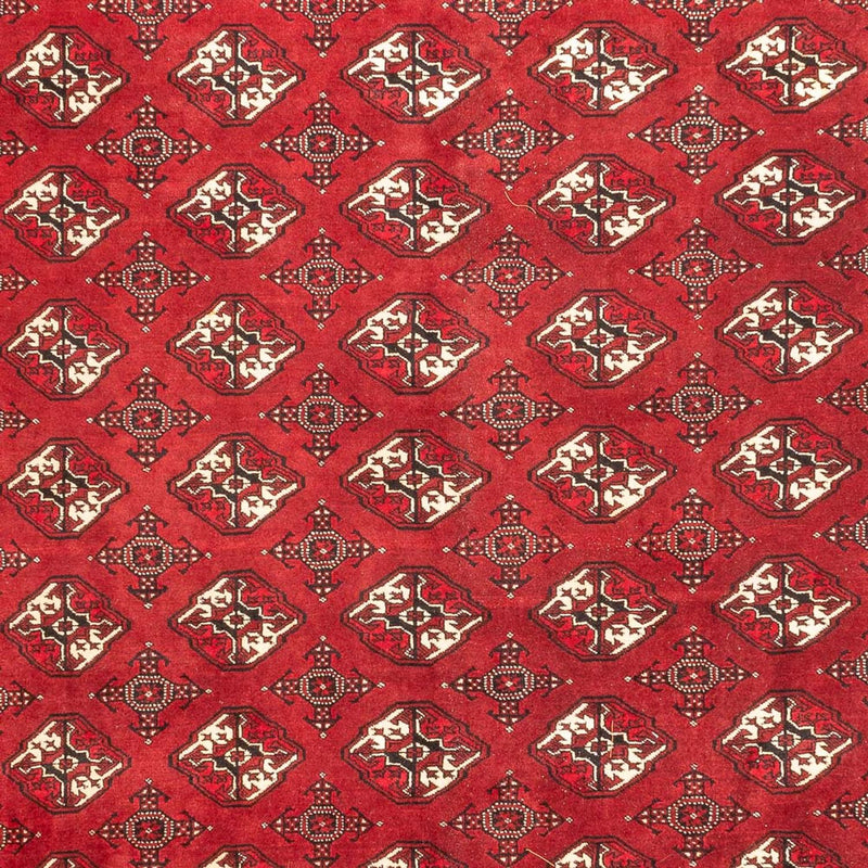 Tappeto Turkaman - 391 x 270 cm - rosso