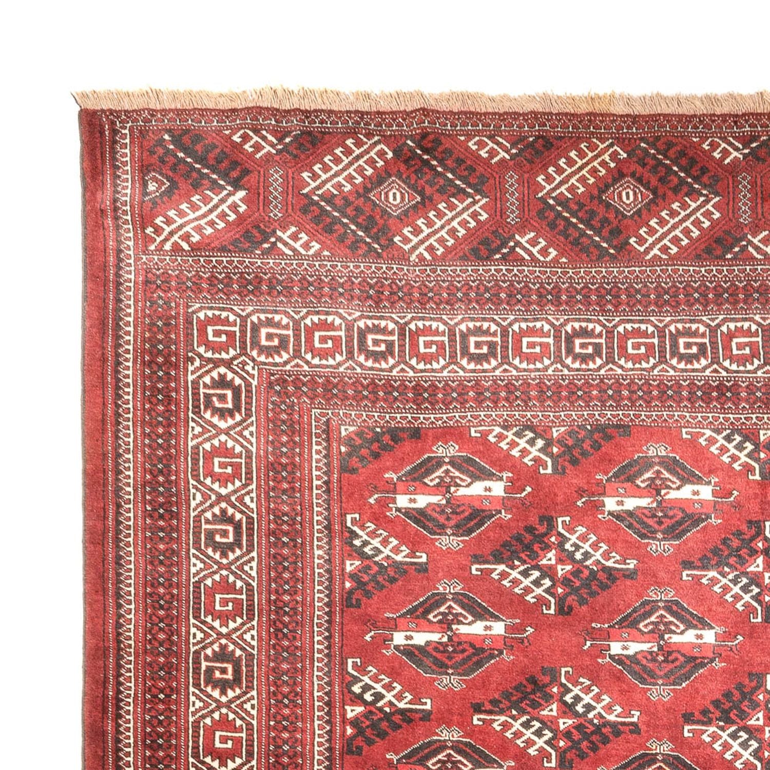 Tappeto Turkaman - 390 x 280 cm - rosso