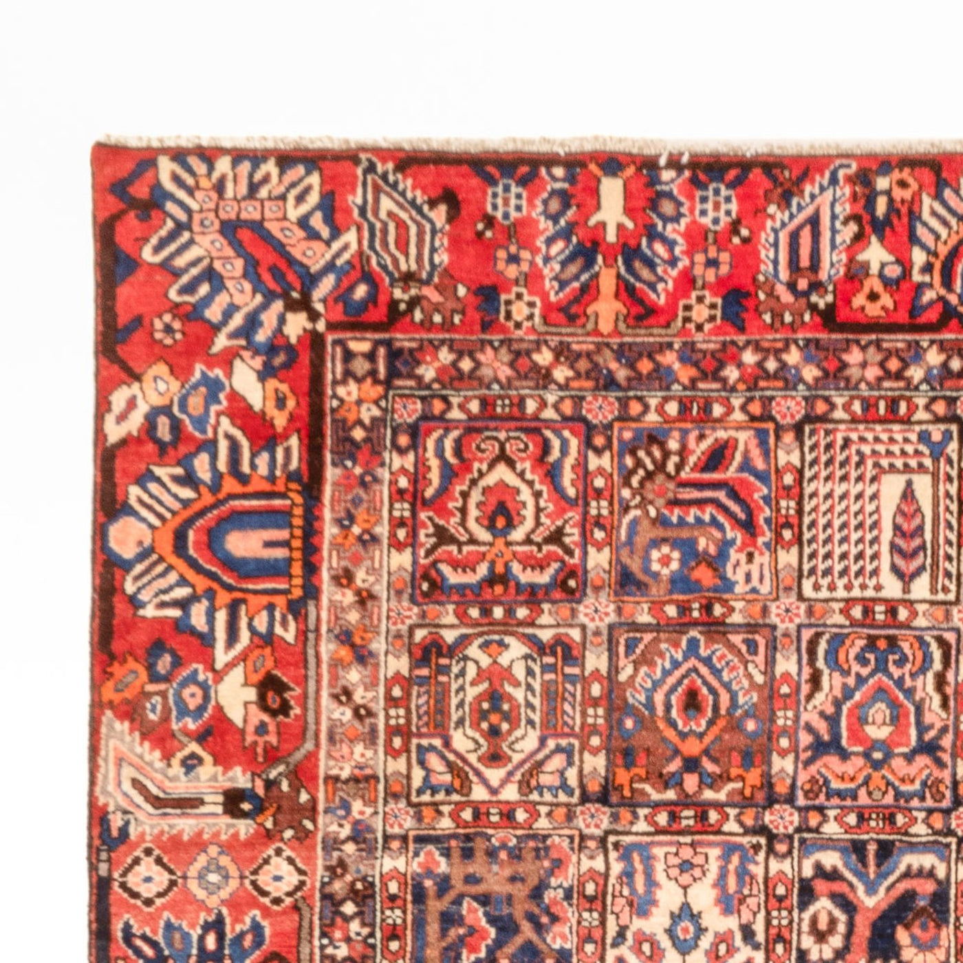 Bakhtiari Tappeto 340x250cm - Tappeto persiano