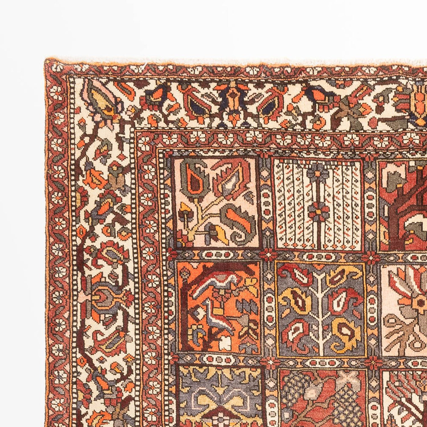 Bakhtiari Tappeto 302x210cm - Tappeto persiano