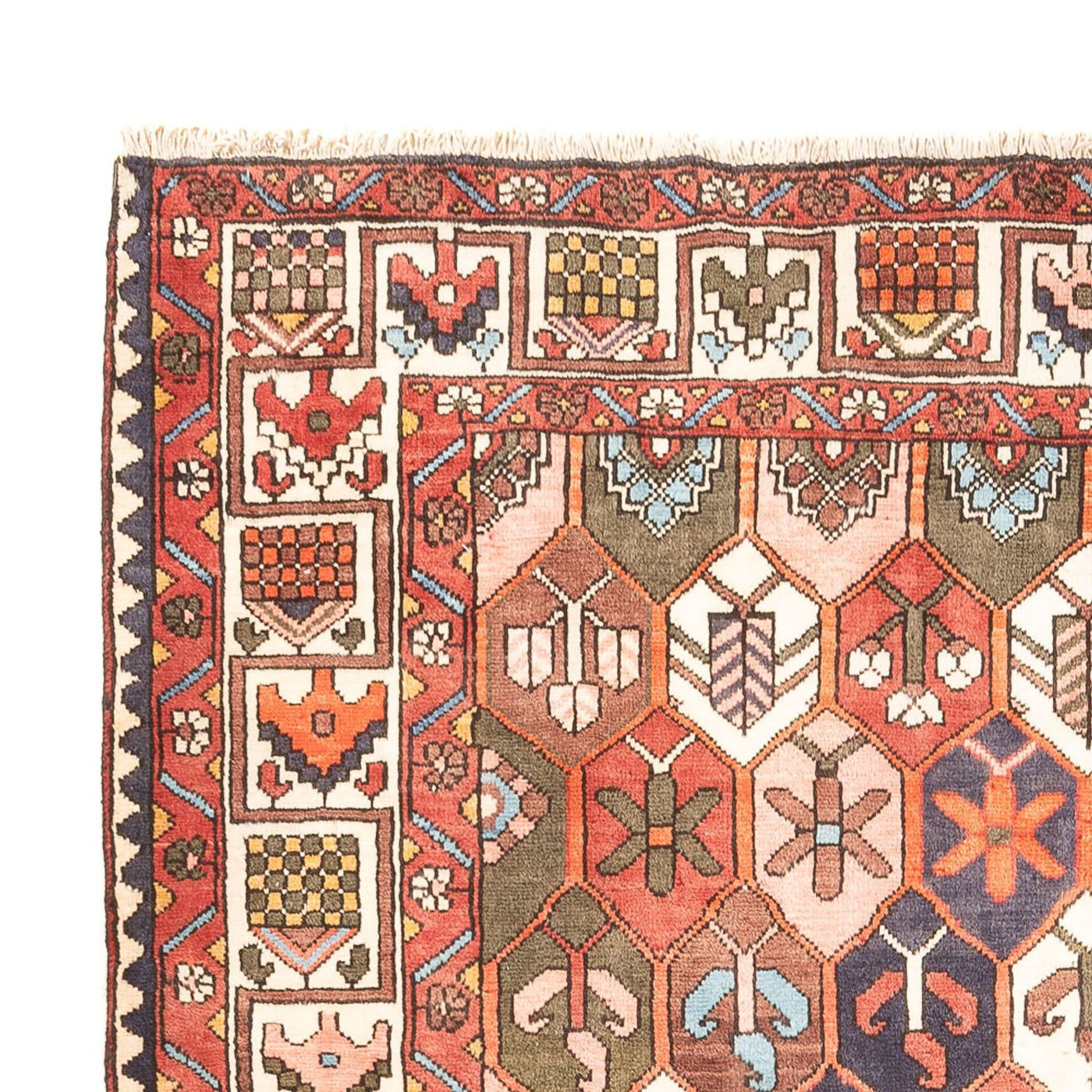 Bakhtiari Tappeto 305x215cm - Tappeto persiano