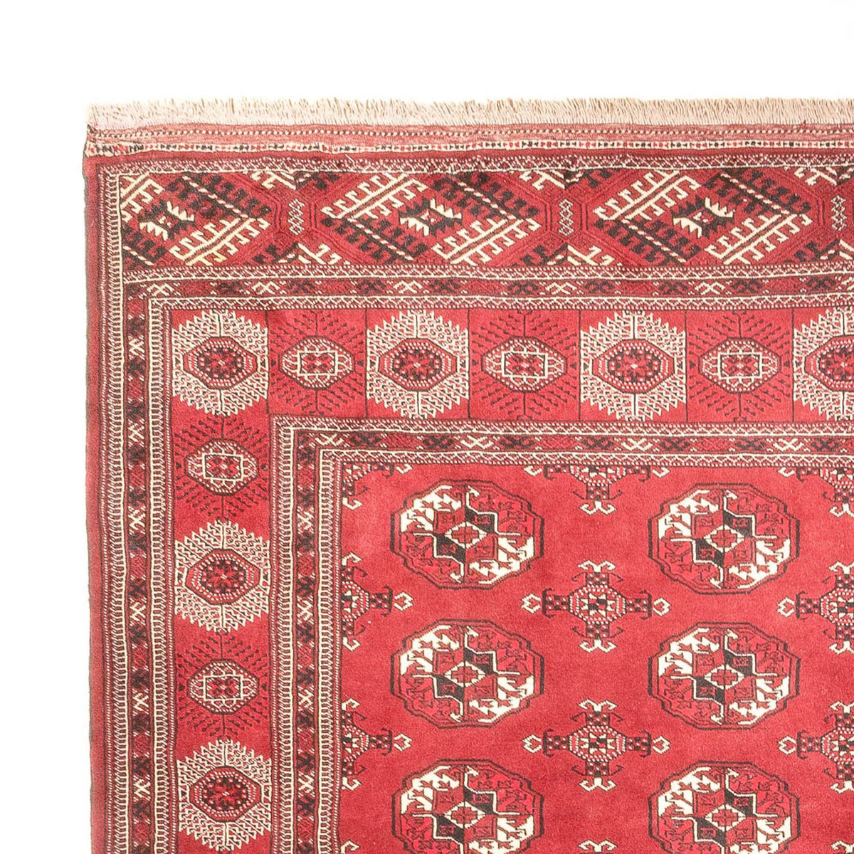Tappeto Turkaman 260x400cm - Tappeto persiano