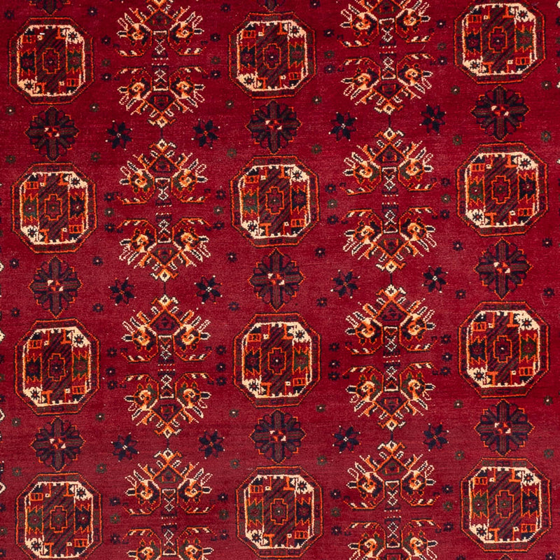 Tappeto afgano - Bukhara - 284 x 194 cm - rosso
