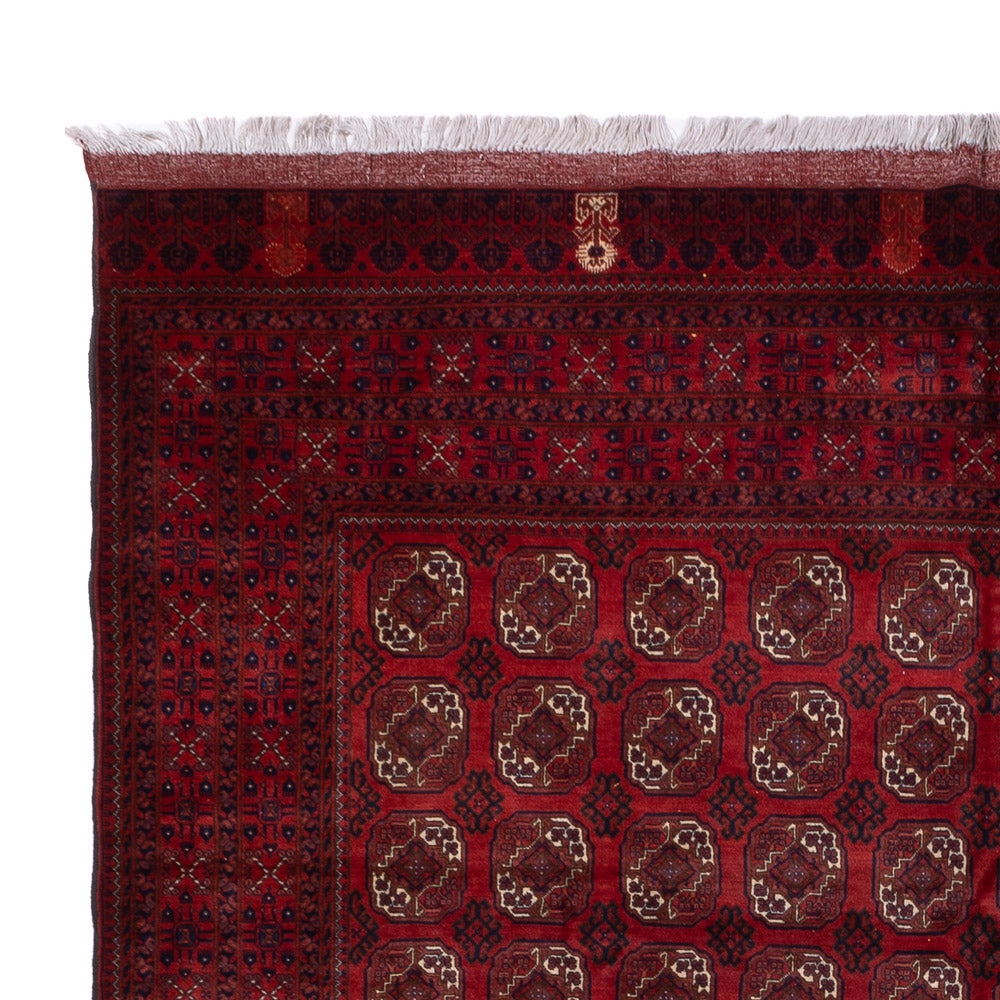 Bukhara Tappeto 334x252cm - Tappeto orientale