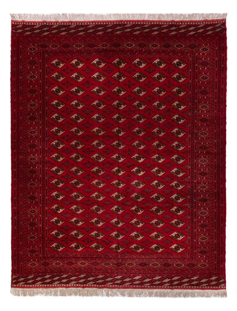 Tappeto afgano - Bukhara - 382 x 300 cm - rosso