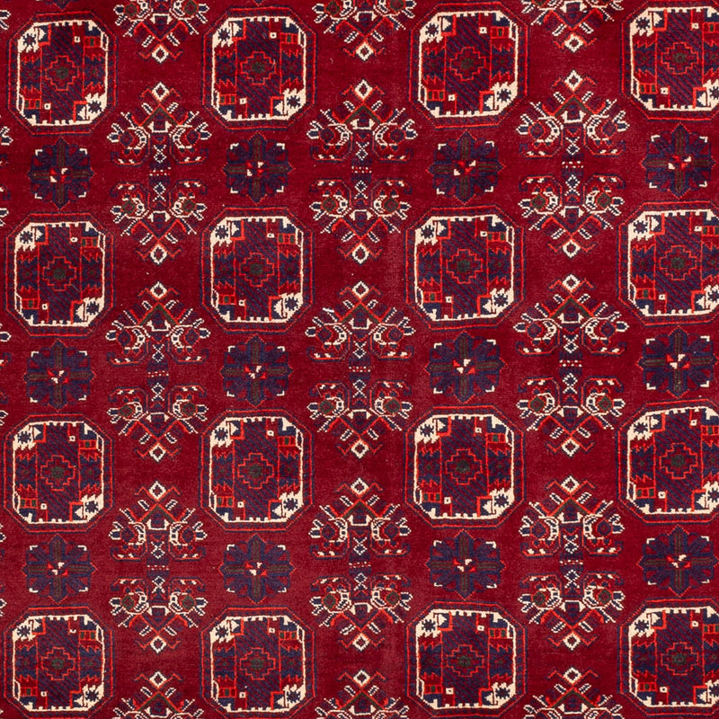 Tappeto afgano - Bukhara - 288 x 197 cm - rosso