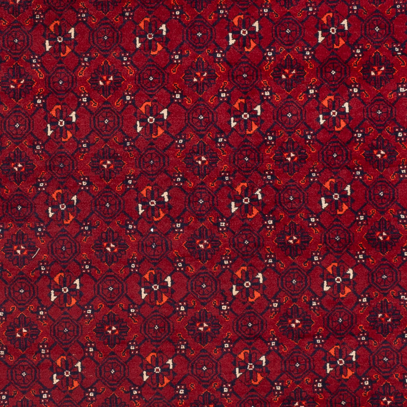Tappeto afgano - Bukhara - 289 x 208 cm - rosso