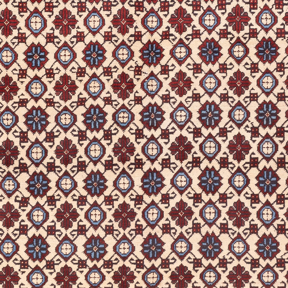 Tappeto afgano - 281 x 194 cm - beige chiaro