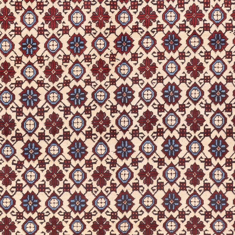 Tappeto afgano - 281 x 194 cm - beige chiaro