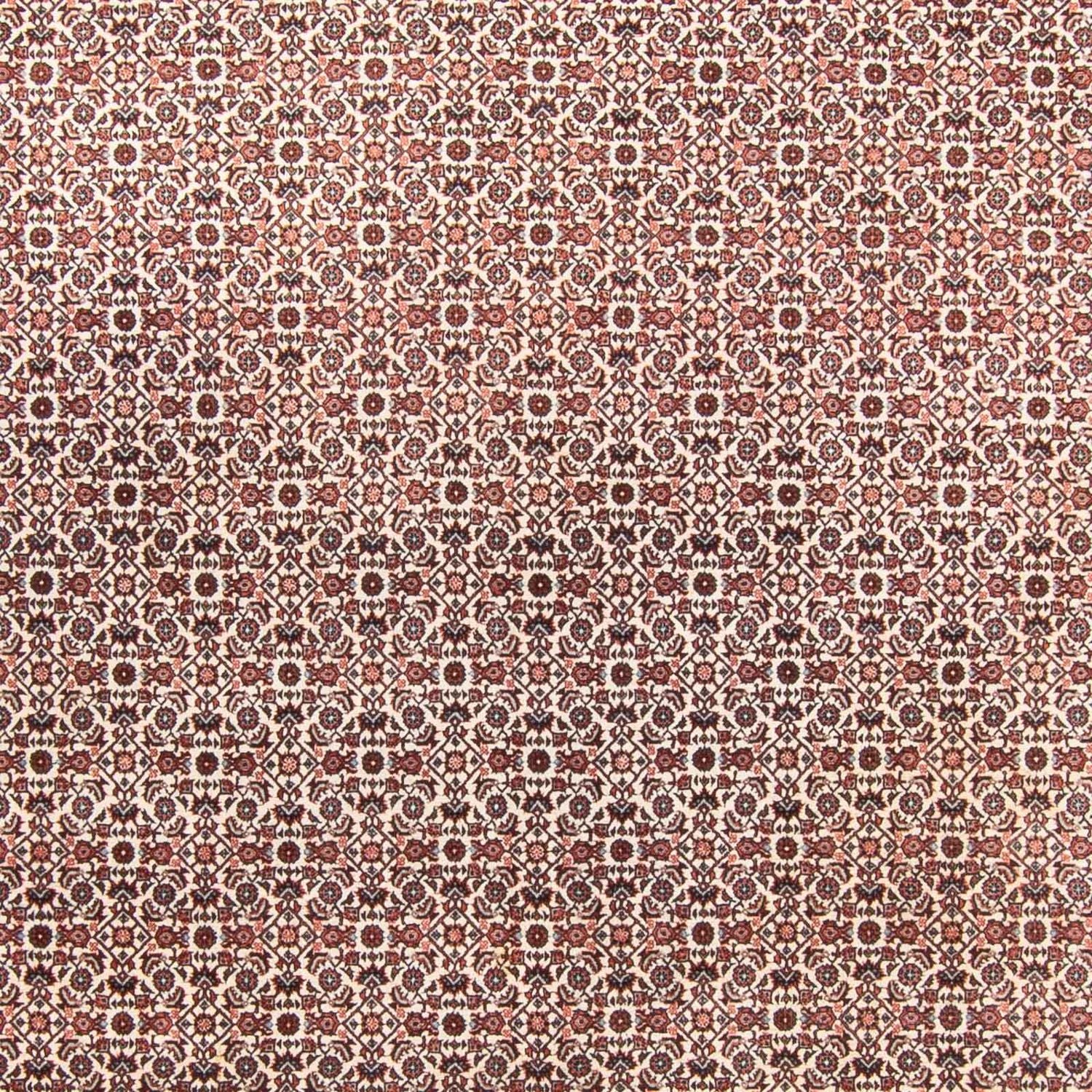 Tappeto Persero - Bidjar - 340 x 250 cm - beige