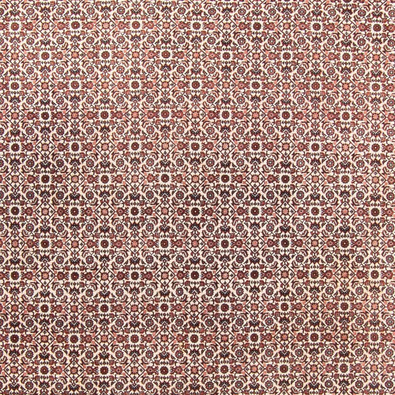 Tappeto Persero - Bidjar - 340 x 250 cm - beige