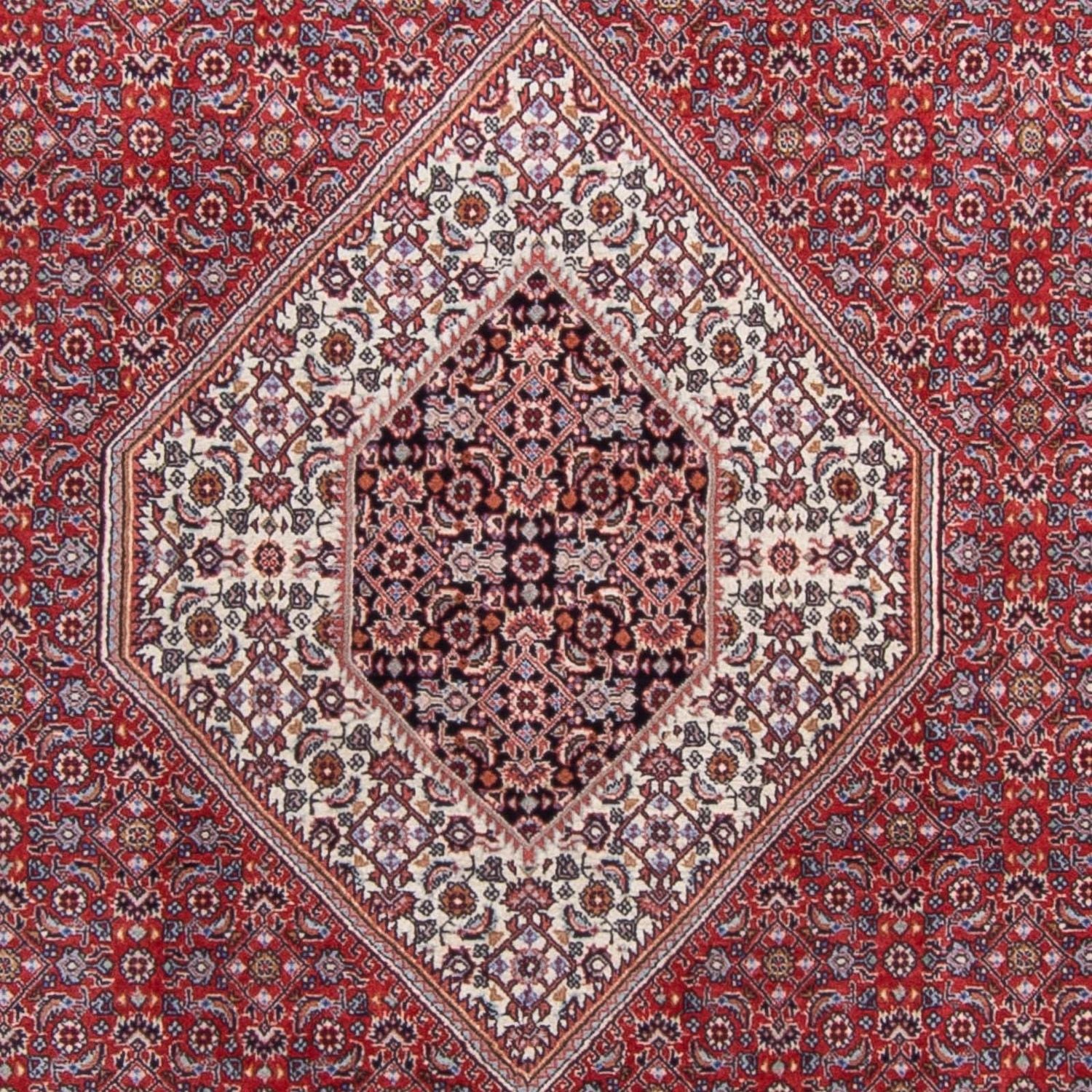 Tappeto Persero - Bidjar - 290 x 200 cm - rosso