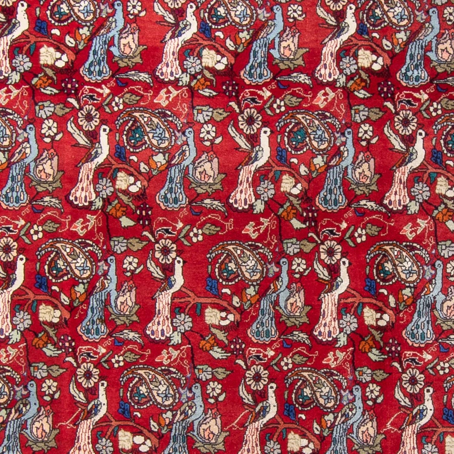 Tappeto Persero - Bidjar - 280 x 180 cm - rosso