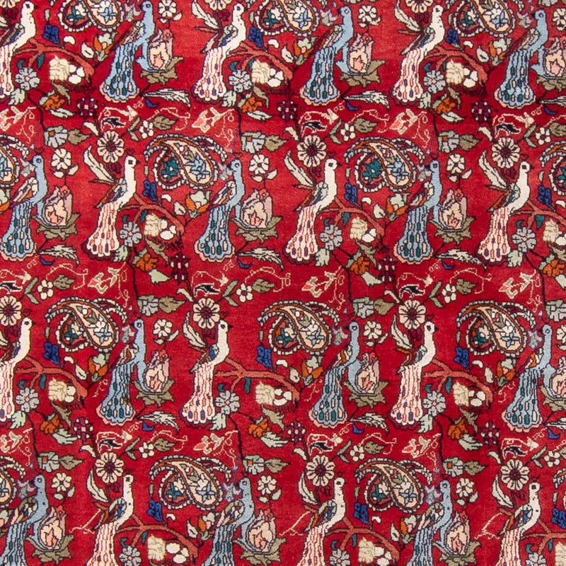 Tappeto Persero - Bidjar - 280 x 180 cm - rosso
