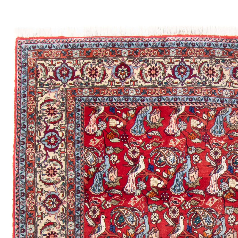 Tappeto Persero - Bidjar - 280 x 180 cm - rosso