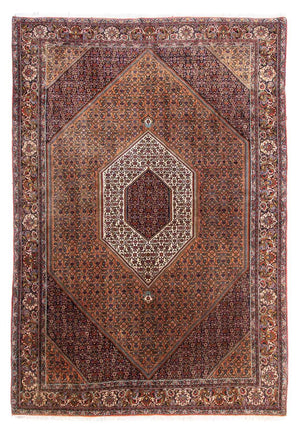 Tappeto Persero - Bidjar - 305 x 210 cm - marrone