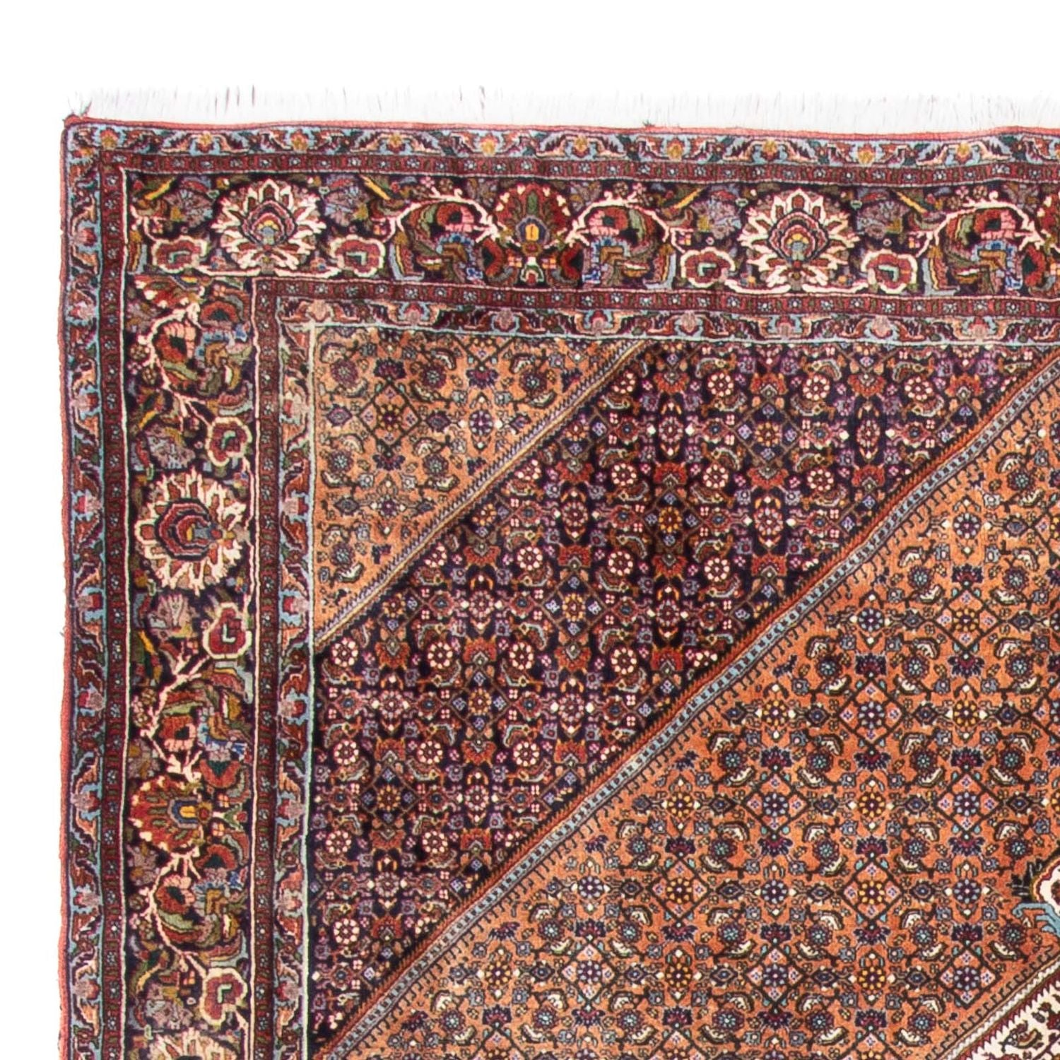 Tappeto Persero - Bidjar - 305 x 210 cm - marrone