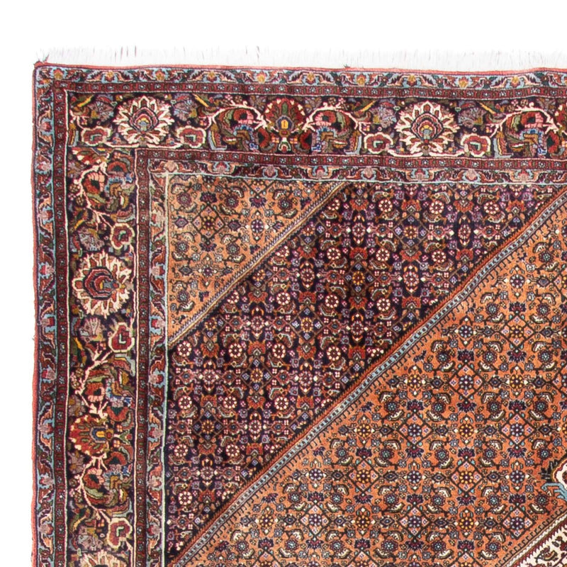 Tappeto Persero - Bidjar - 305 x 210 cm - marrone