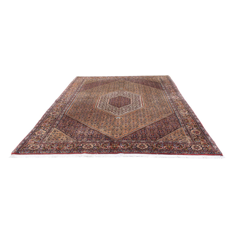 Tappeto Persero - Bidjar - 305 x 210 cm - marrone