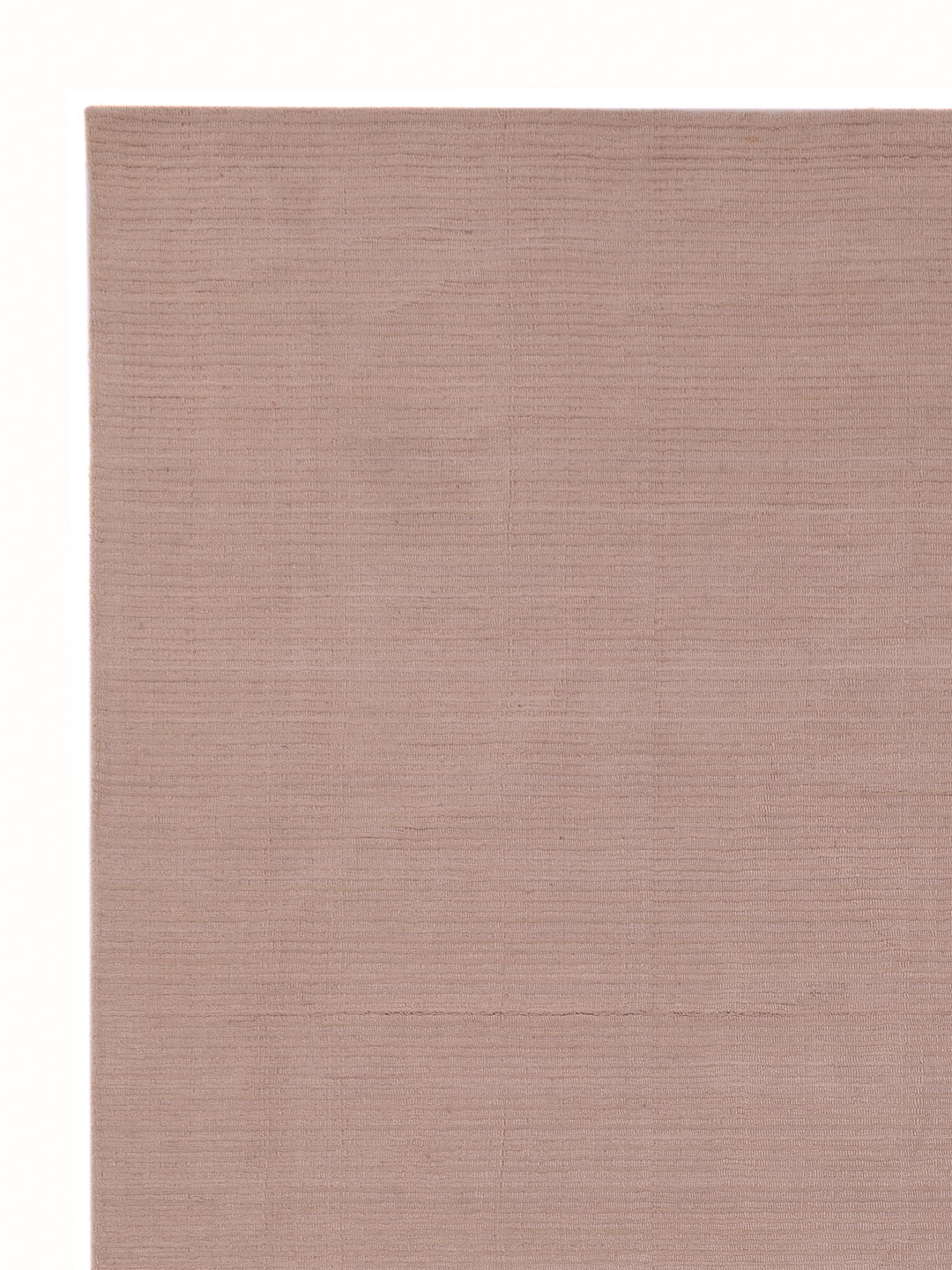 Wollteppich - 360 x 275 cm - beige