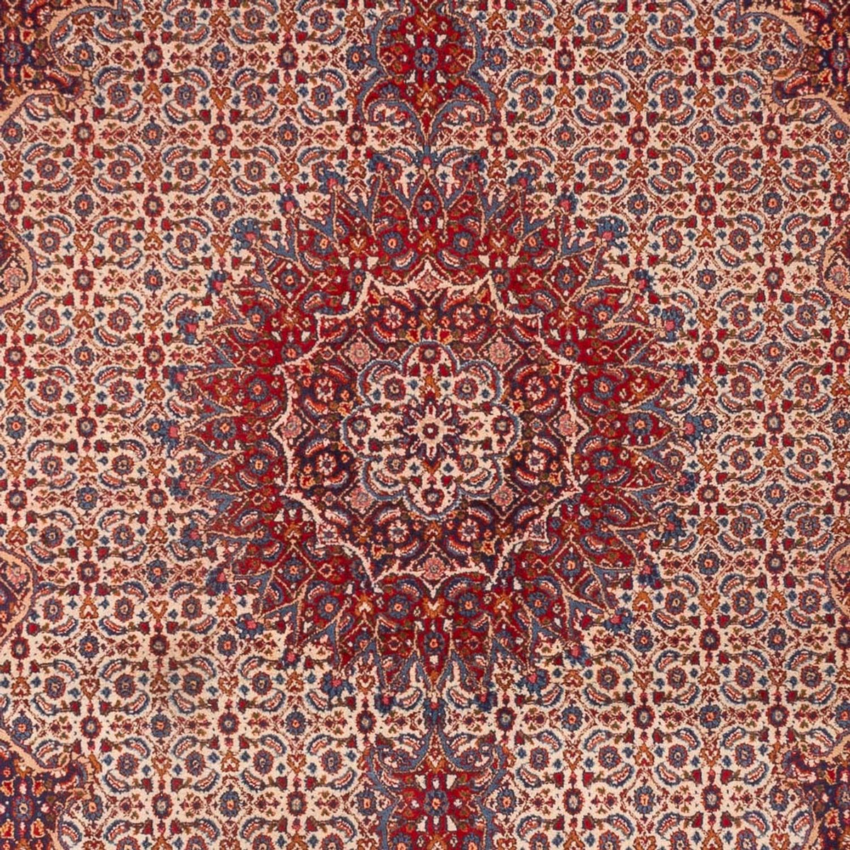 Tappeto Persero - Classico - 303 x 210 cm - rosso chiaro