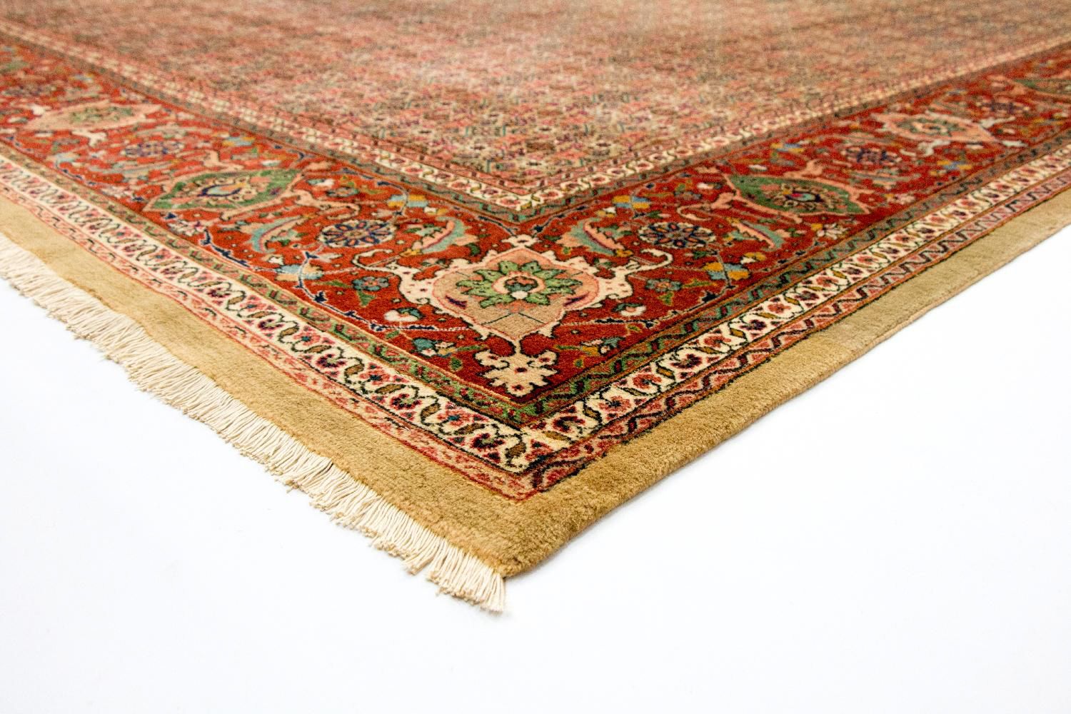 Tappeto Persero - Tabriz - Reale - 380 x 280 cm - marrone